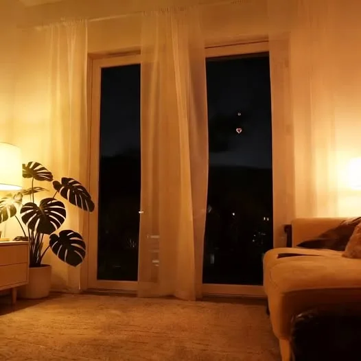 carátula de «Cozy at Home»